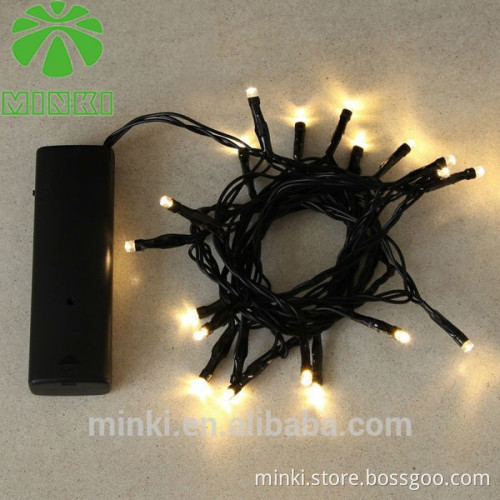 fiber optic led string light